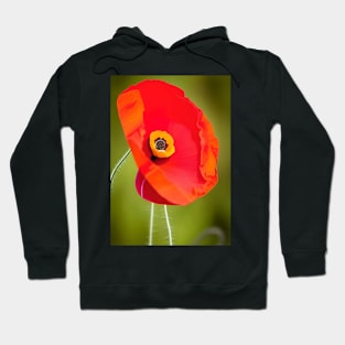 VIBRANT SINGLE POPPY WITH GREEN BACKGROUND Hoodie